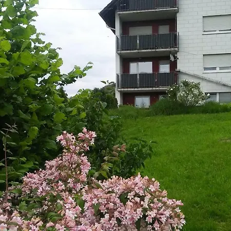 Am Eichbuehl Apartment Waldkirch