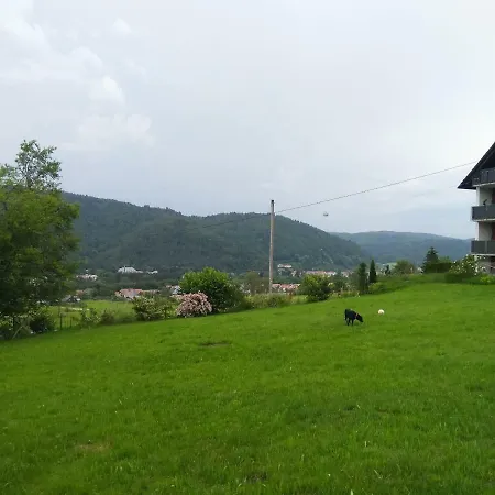 Am Eichbuehl *